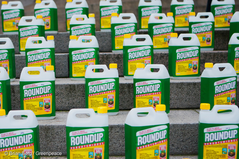 EU food safety authority waves through glyphosate despite safety concerns -  Greenpeace European Unit