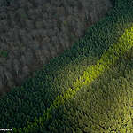 EU nature restoration law survives conservative ‘kill list’