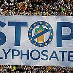 EU must withdraw licence for toxic glyphosate considering flawed EU approval system for pesticides