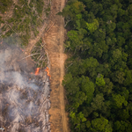 Large sections of forest are set on fire by farmers in Brazil to be cleared for soy farming or cattle breeding. 