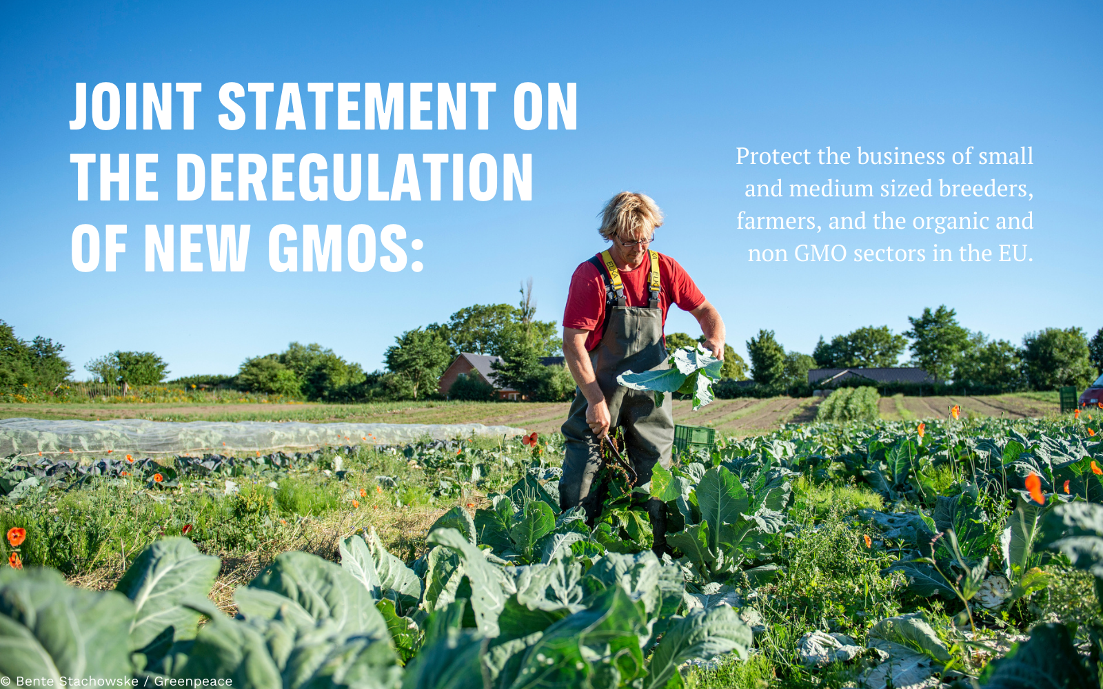 Photograph of an organic farmer in the field with a blue sky, with text reading "Joint statement the deregulation of new GMOs"