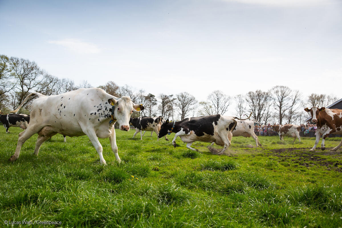 EU farming is changing for the worst – and now YOUR future is at stake.