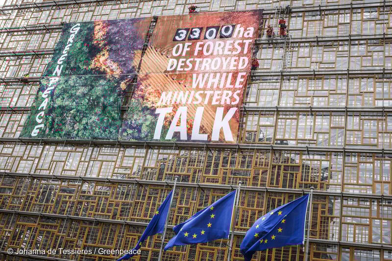 Commission must implement EU anti-deforestation law by end 2026 to preserve credibility