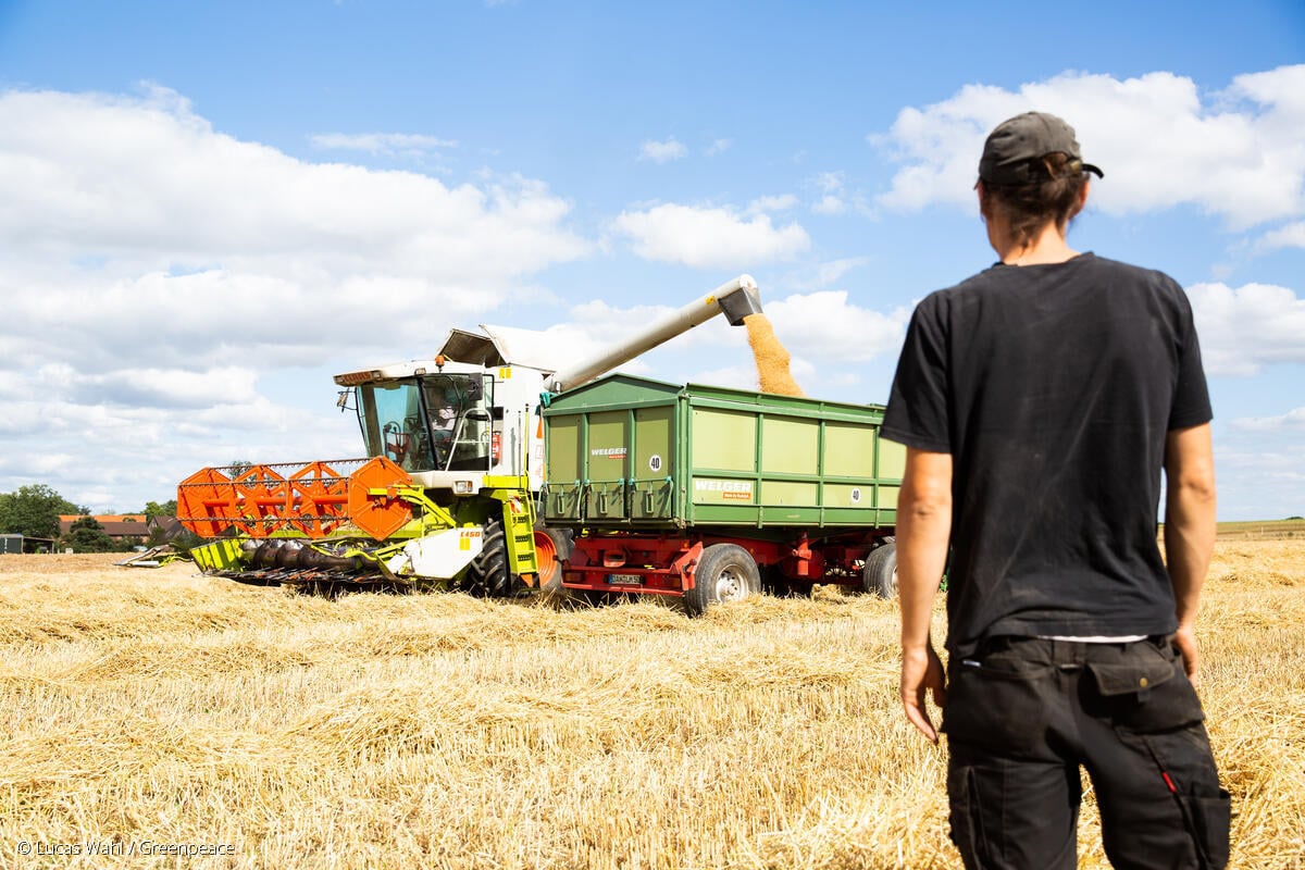 Welfare for the rich: up to 40% of CAP money goes to 1% of recipients