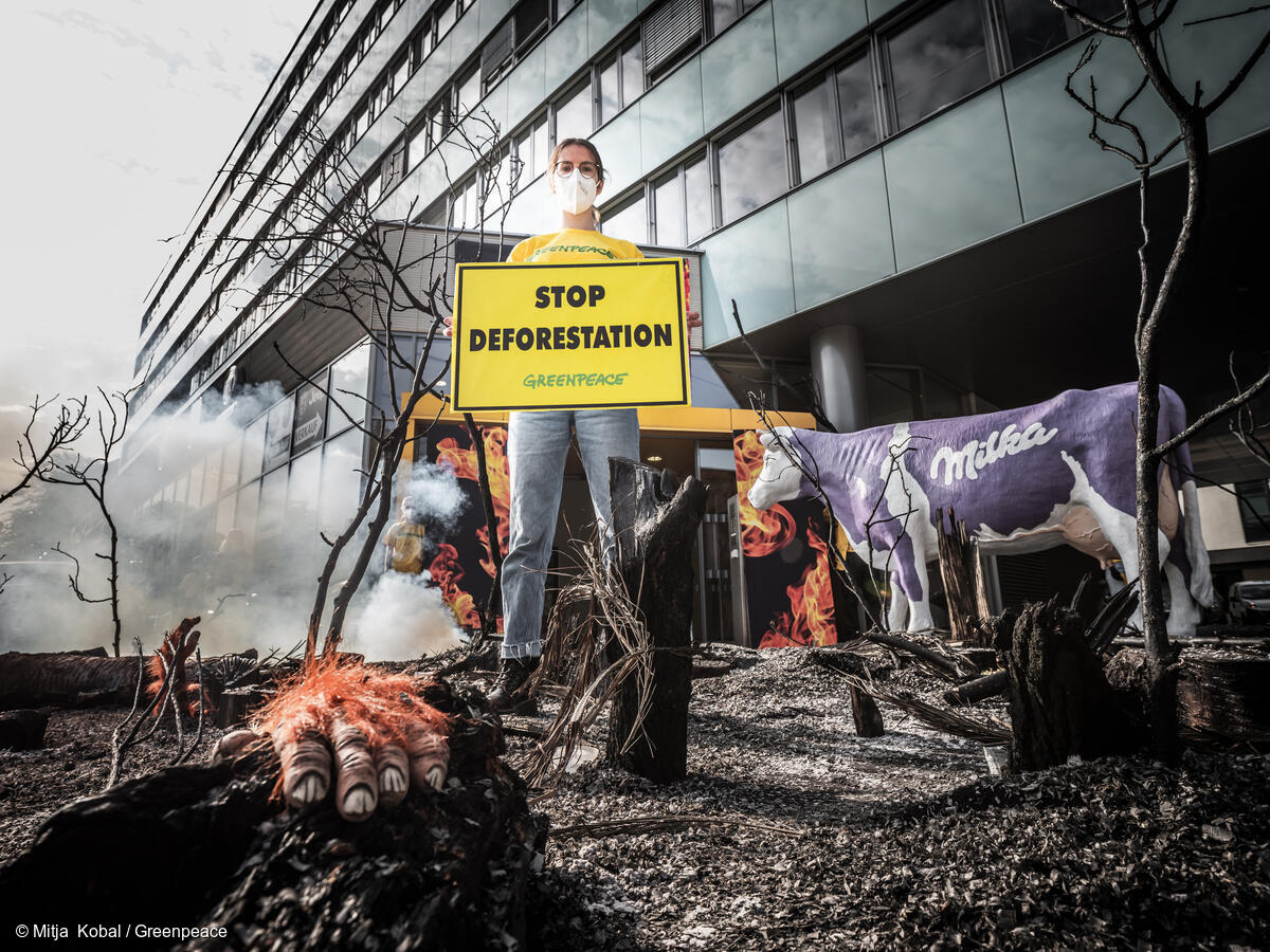 Forest-protection law gets EU Commission green light, but leather loophole is unacceptable – Greenpeace
