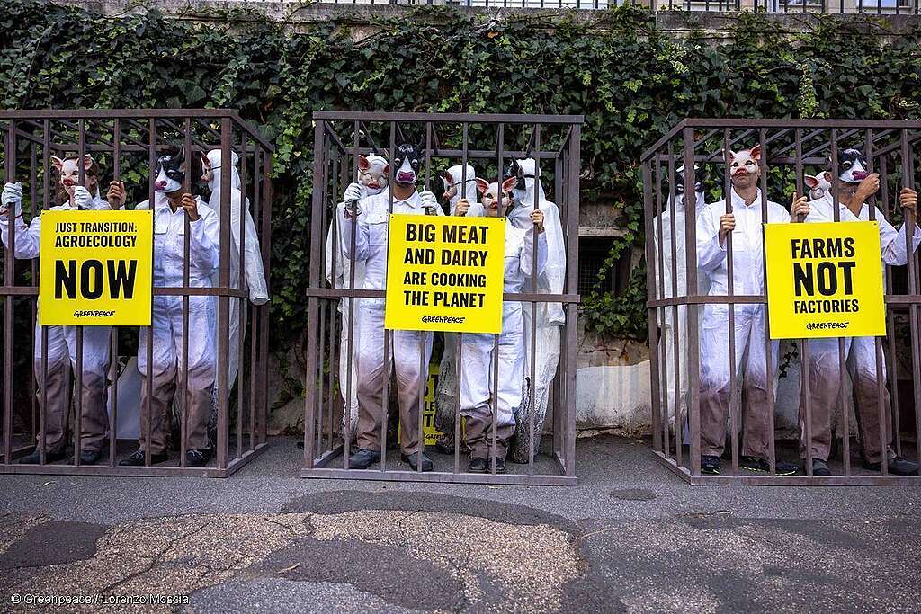 No Factory Farming Action in Rome, Italy