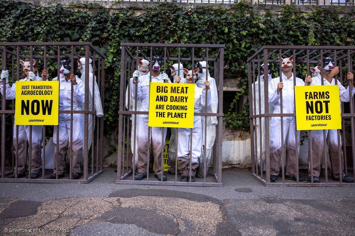 EU livestock strategy ignores dangers from nitrates and methane