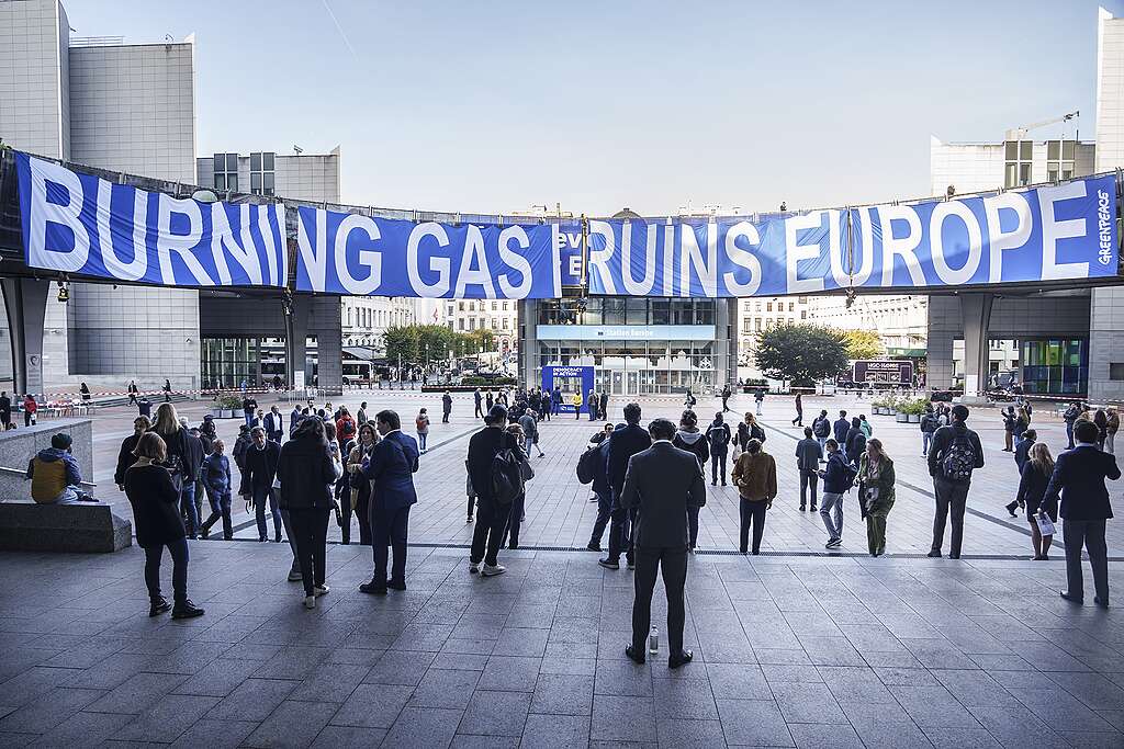 Greenpeace activists at EU-parliament