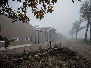 Factory Farm in Lescout, France. © Greenpeace / Wildlight / Selene Magnolia Factory Farm in Lescout, France. © Greenpeace / Wildlight / Selene Magnolia