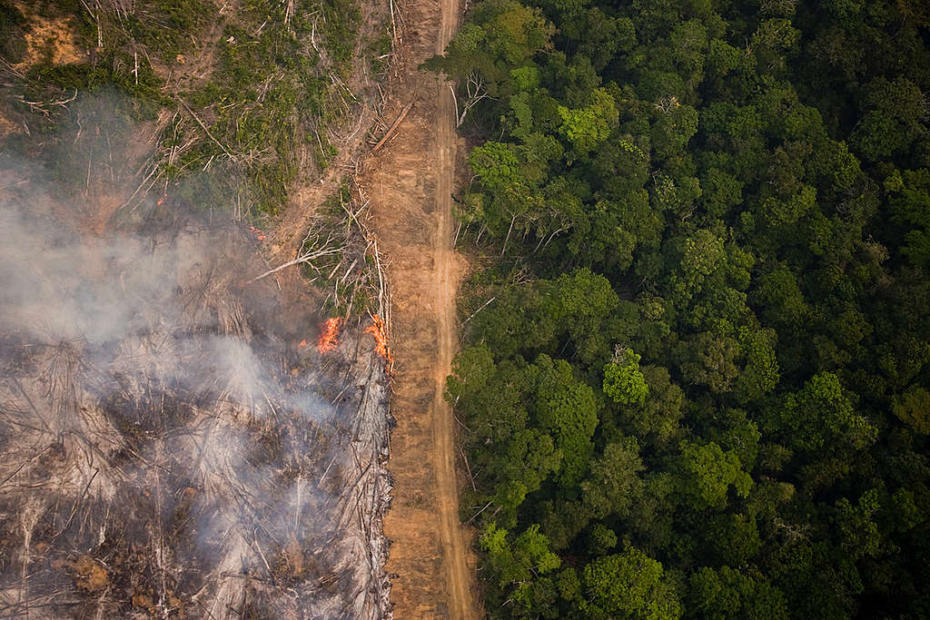 Metsäpalokausi Amazonilla