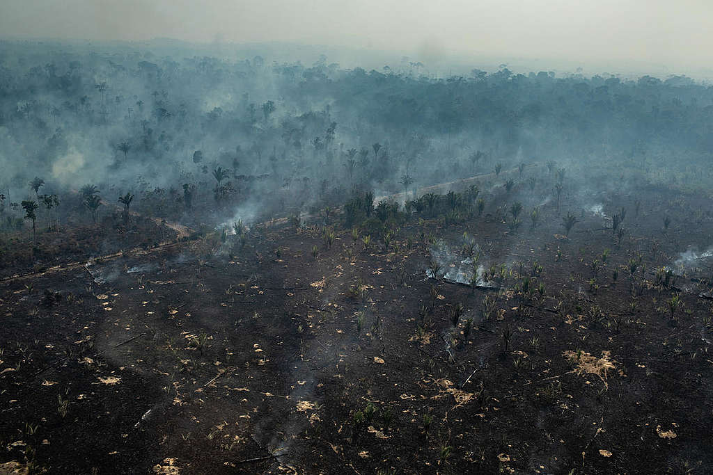 Metsäpalot Amazonilla