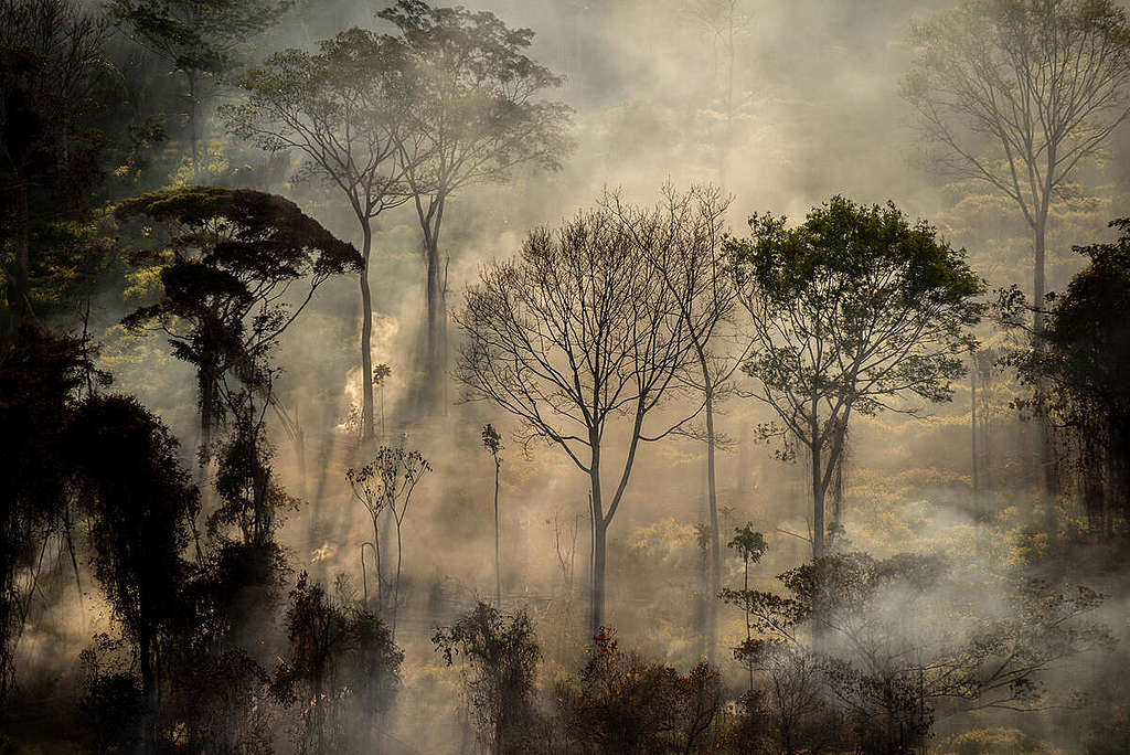 Deforestation and Fire Monitoring in the Amazon in July, 2020. © Christian Braga / Greenpeace