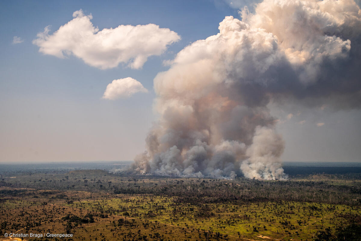 Brasilian metsäpalot syyskuu 2020.