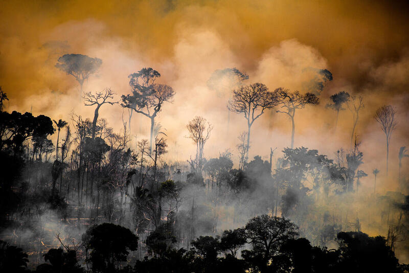 Metsäpalo Amazonin sademetsässä. Metsä ja maa on mustana palon jäljiltä ja takana näkyy savupatsas.