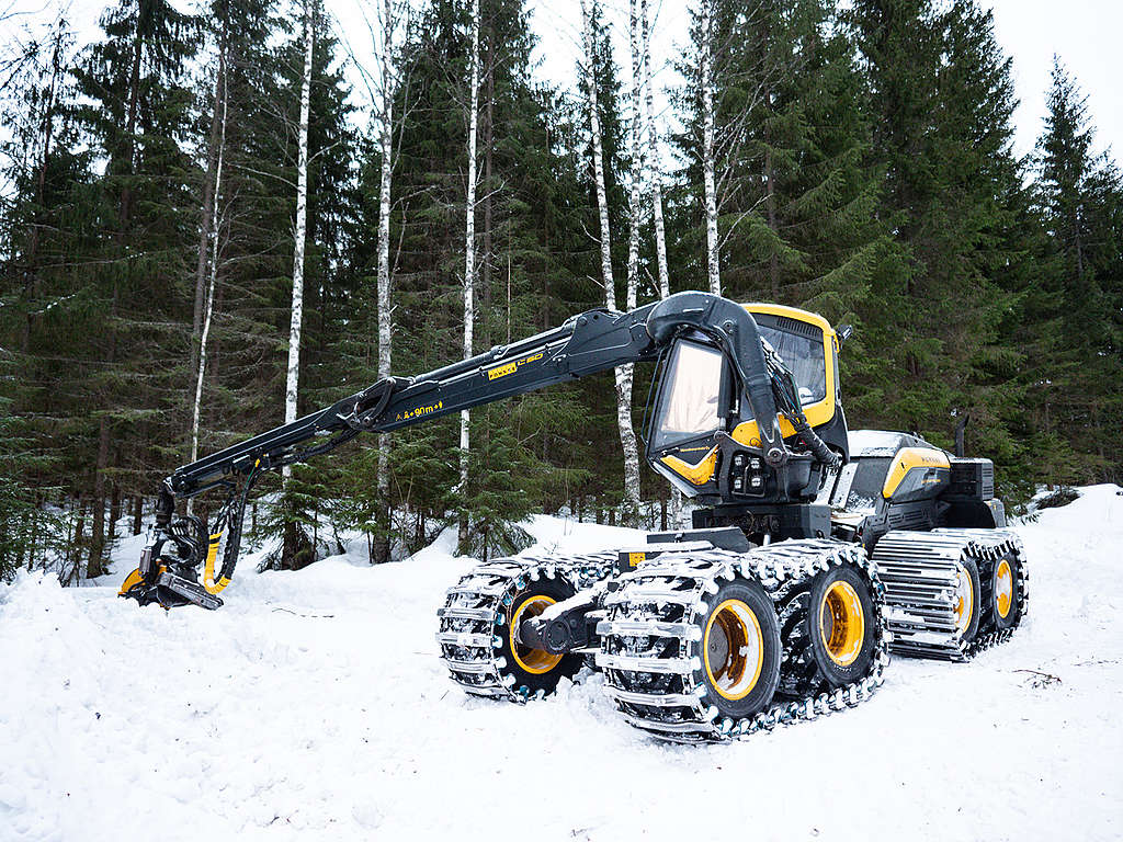 Parkkiin jätetty metsäkone Evolla.
