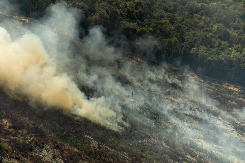 Metsäpalo Amazonin sademetsässä.
