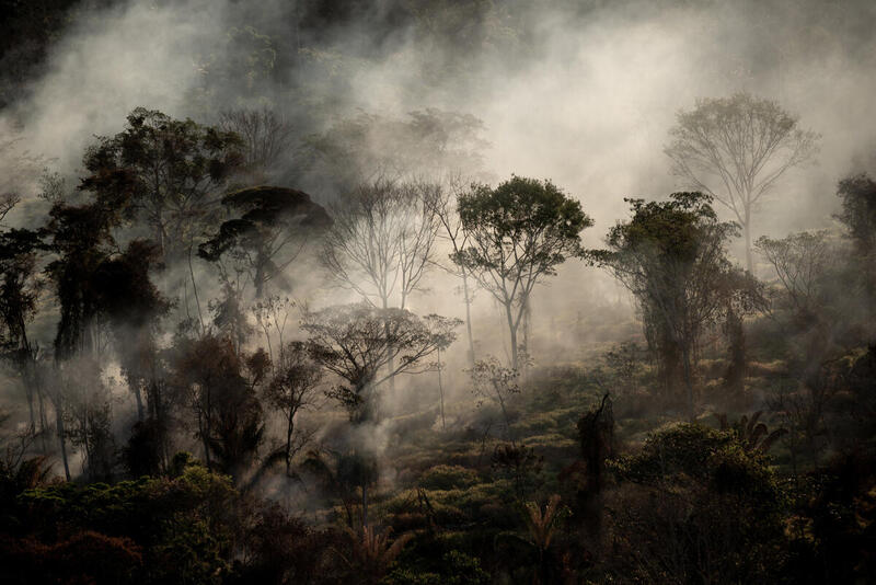 Metsäpalo amazonin sademetsässä. Kuvan alareunassa on vielä palamatonta metsää, jota lähestyy suuri savupilvi.