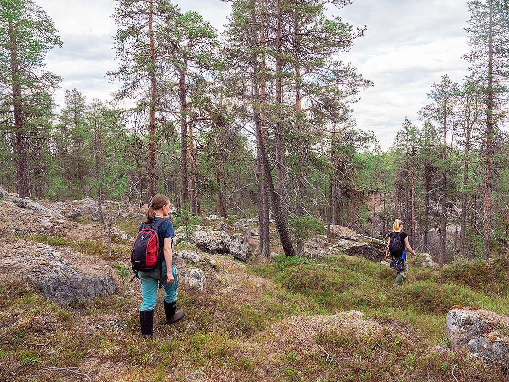 Kartoittajia metsässä Inarissa.