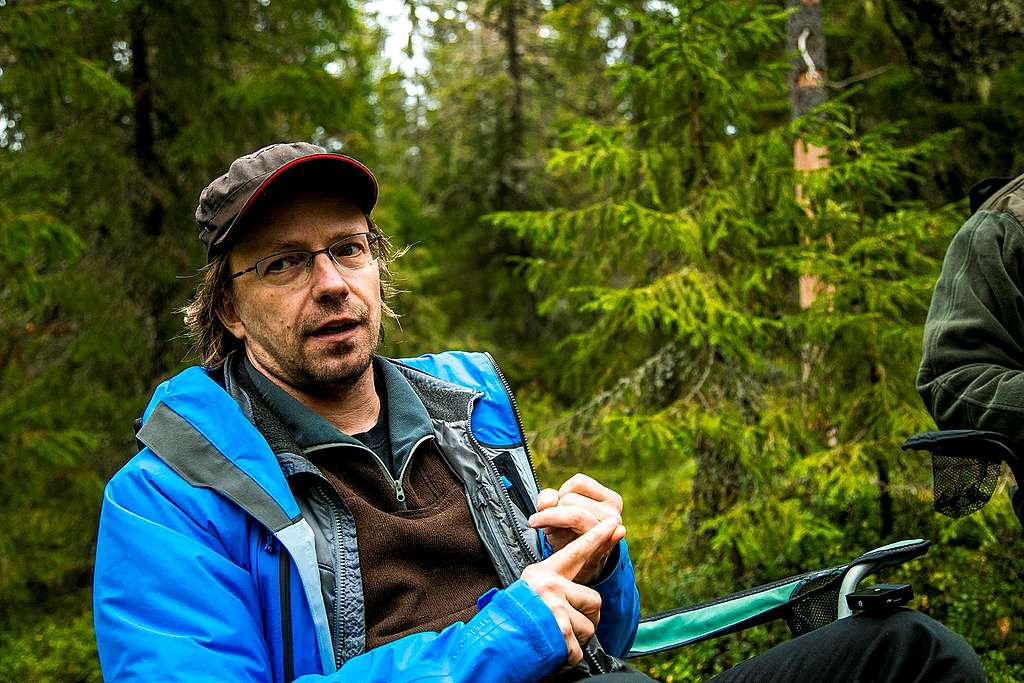 Matti Liimatainen luonnonmetsässä.