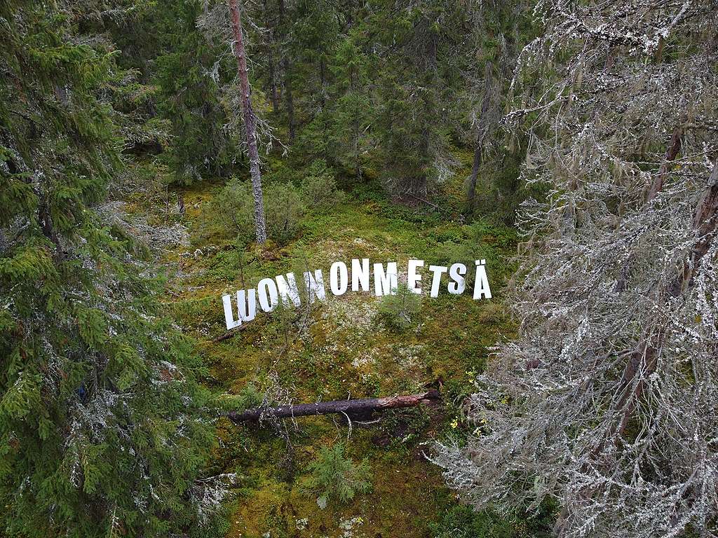 Mielenosoittajia luonnonmetsässä pitelemässä kirjainkylttejä, jotka muodostavat sanan luonnonmetsä.
