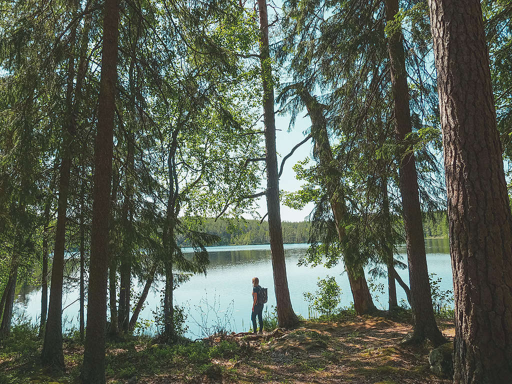 Järvimaisemaa evolla. Etualalla kuvassa on järeää puustoa, taaempana järvi.