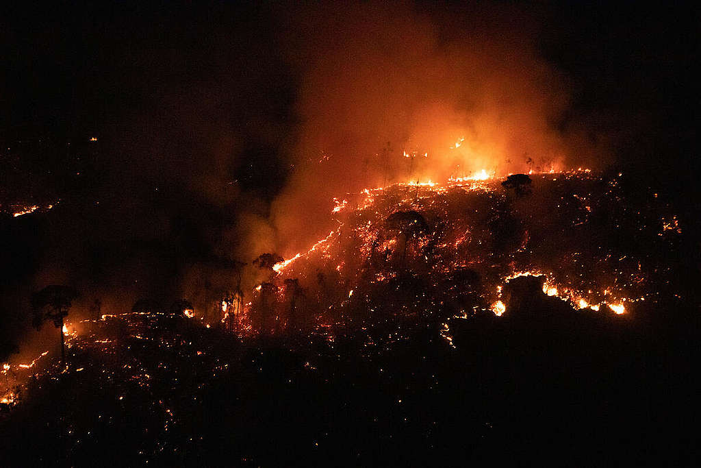 Ilmakuva metsäpalosta Amazonin sademetsässä.