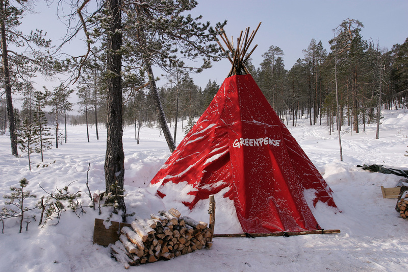 Suomen Mets t Greenpeace Suomi