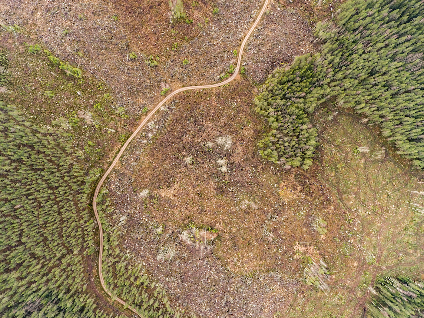 Ilmakuva avohakkuusta Keihäsjärvellä. Vain muutamia säästöpuita on jätetty pystyyn.