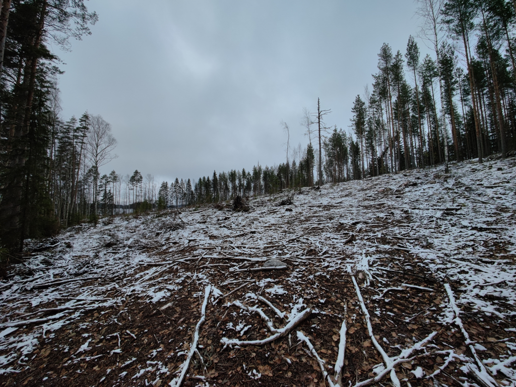 Avohakkuu Puumalassa. Maassa on hakkuujätettä joiden päälle on satanut ohut lumiharso. Kuvassa näkyy avohakattu 119-vuotias metsä, jossa oli maisemansuojelualue, sekä "lakisääteinen suojelualue, ei hakkuita".