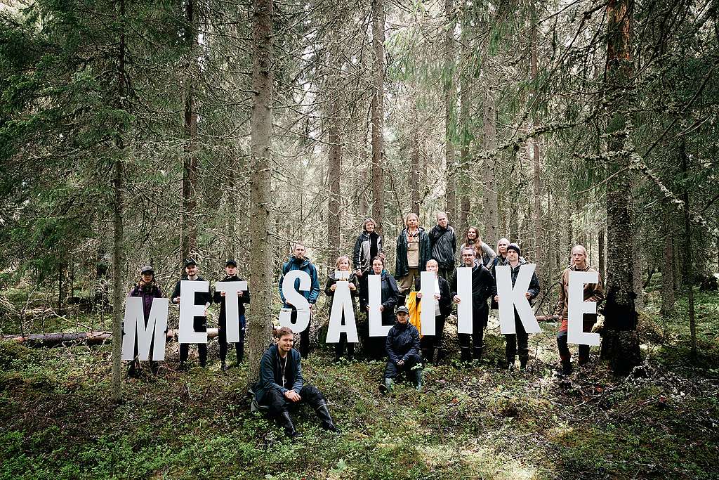 Metsäliikkeen vapaaehtoisia luonnonmetsässä pitelemässä kirjainkylttejä, jotka muodostavat sanan "metsäliike". Metsäliikkeen aktivisteja luonnonmetsässä Evolla. Aktivistit pitelevät kirjainkylttejä, joista muodostuu sana "metsäliike".
