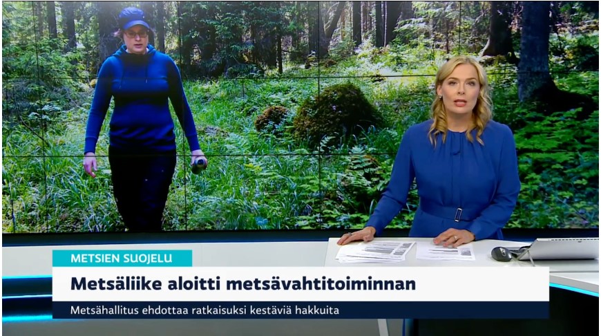 Kuvakaappaus Ylen uutislähetyksestä, jossa kerrotaan Metsäliikkeen aloittaneen metsävahtitoiminnan. Kuvakaappaus Ylen uutislähetyksestä. Uutislähetyksessä mainitaan, että Metsäliike aloitti metsävahtitoiminnan ja että Metsähallitus ehdottaa ratkaisuksi kestäviä hakkuita.