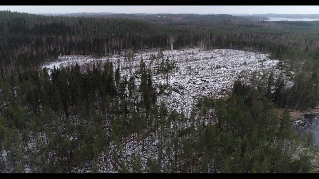 Ilmakuva, jossa näkyy UPM:n avohakkuita useilla saarilla. Avohakkuu, sekä hyvin rankalla kädella harvennettua metsää.