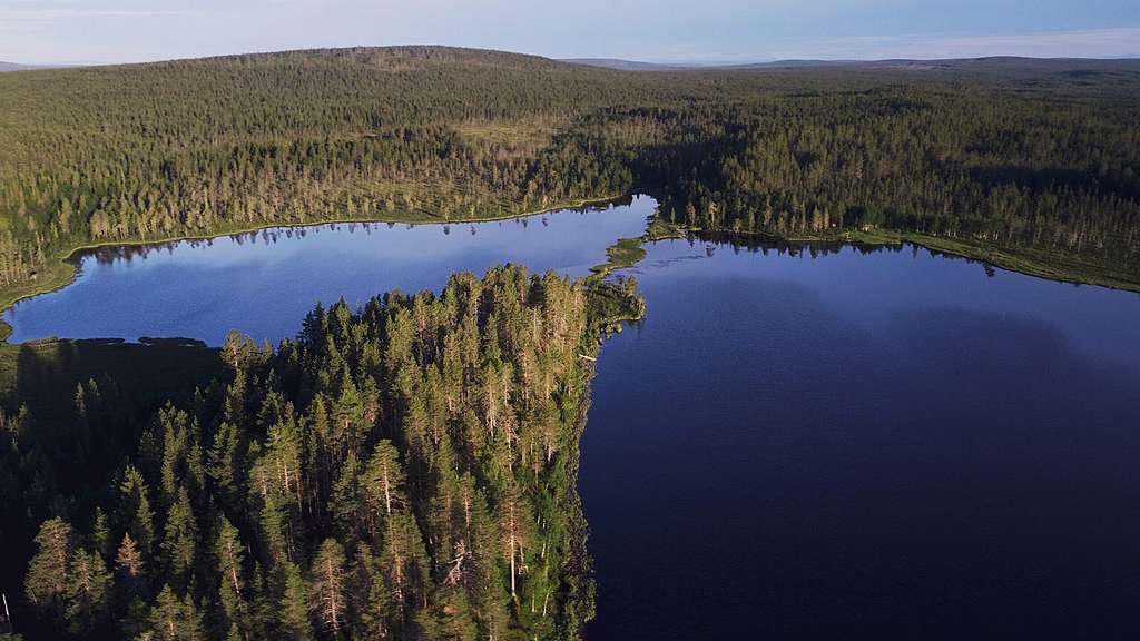 Ilmakuva, jossa näkyy laaja metsäalue, sekä Nalantojärvi. Ilmakuva metsän ympäröimästä järvestä.