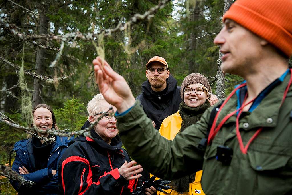 Kartoittaja esittelee naavaa puun oksalla muille. Kuvassa metsäkartoittaja esittelee neljälle ihmiselle vanhan metsän lajeja.