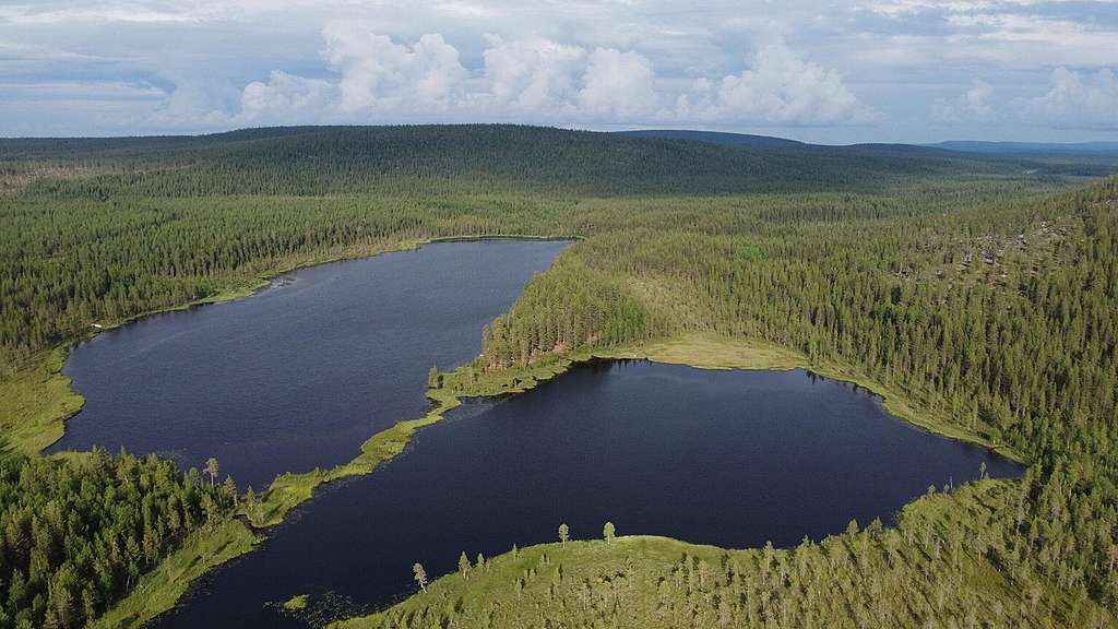 Ilmakuva metsämaisemasta, jossa etualalla on järvi. Ilmakuva järvestä, joka on metsän ympäröimä