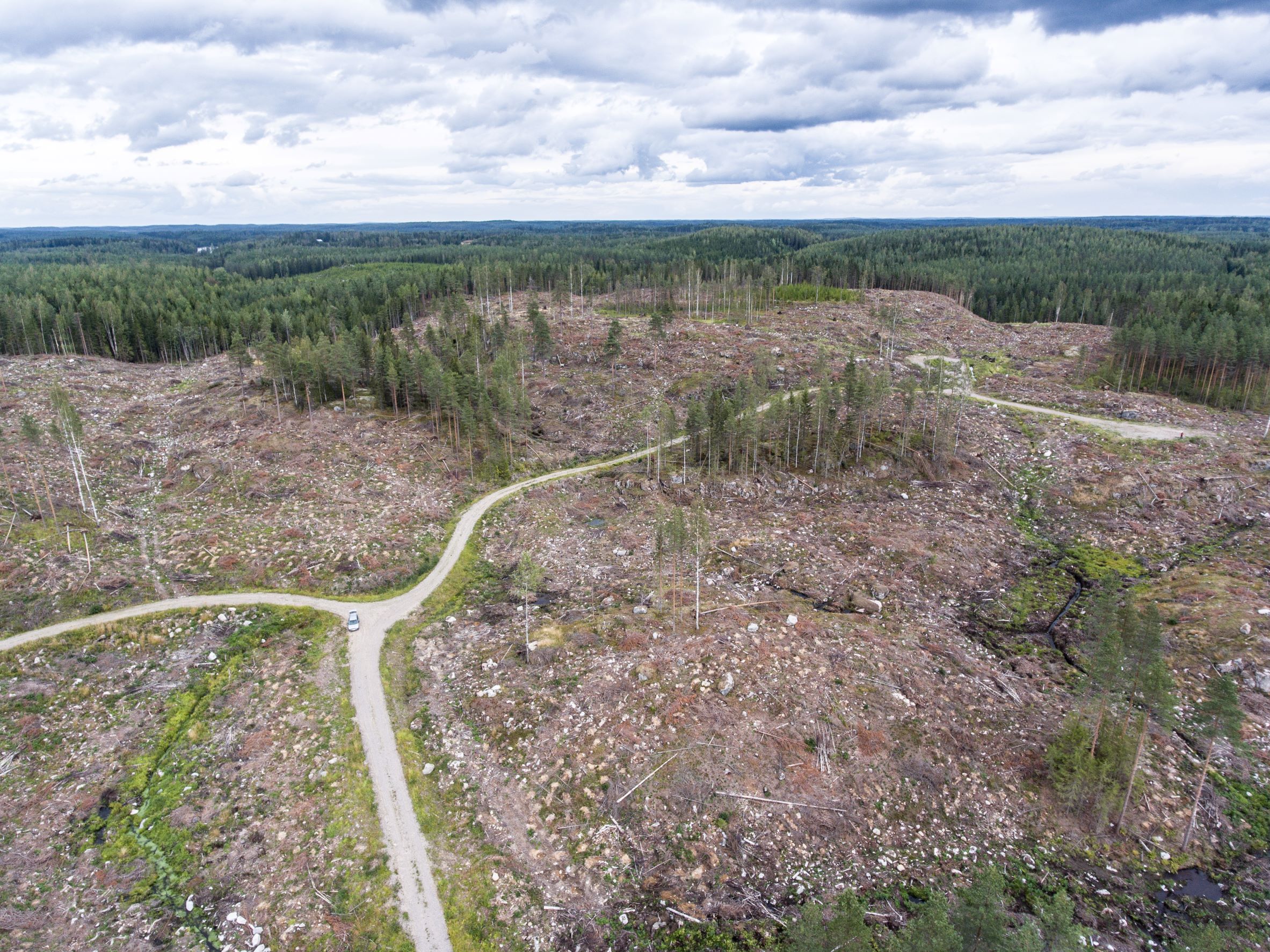 Hakkuuaukio Orivedellä. Runkoja on vielä satunnaisesti maassa, ja aukiolle on jätetty muutamia säästöpuita.
