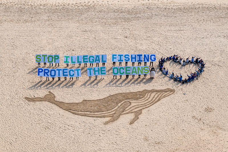 Ihmisiä pitelemässä paperikylttejä tekstillä "Stop illegal fishing! Protect the oceans!" hiekkaan tehdyn valaan vieressä. Kuvassa on hiekkaan piirretty valas, ihmisiä, jotka istuvat sydämen muodossa sekä ihmisiä pitämässä kirjainkylttejä, jotka muodostavat lauseet "STOP ILLGEGAL FISHING" ja "PROTECT THE OCEANS".
