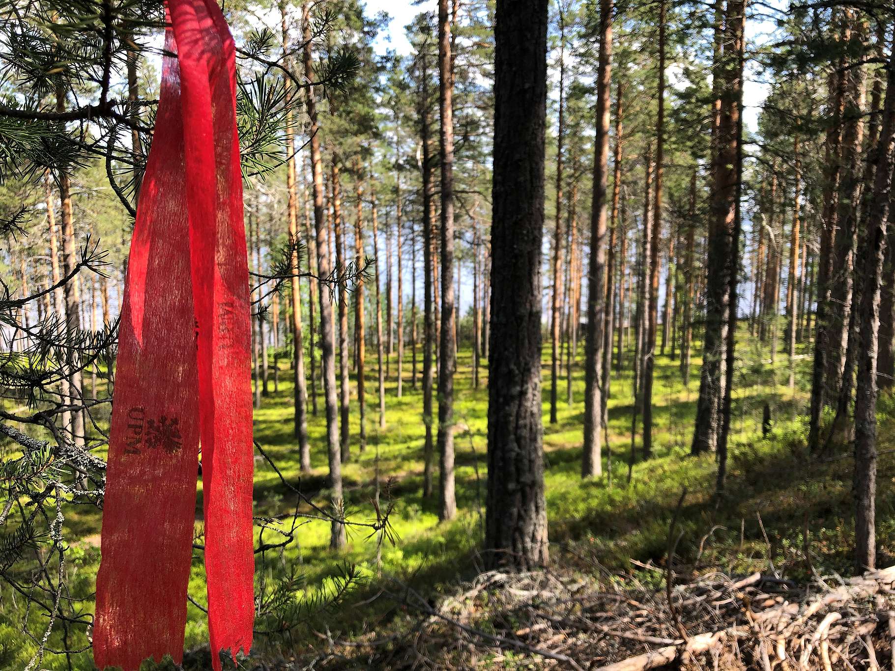 greenpeace-suomi