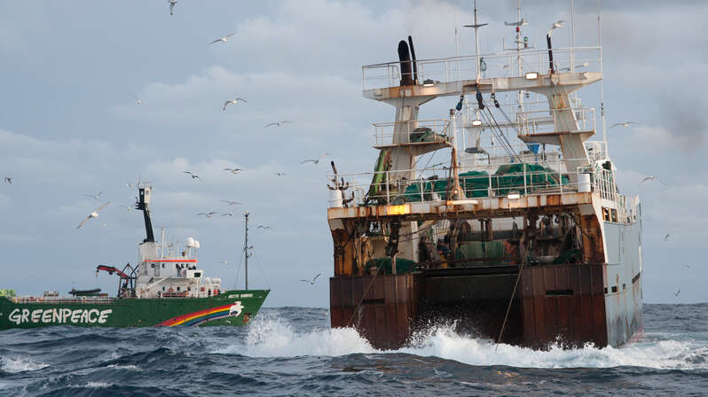 Greenpeacen Arctic Sunrise laiva menossa isoa troolaria kohti.