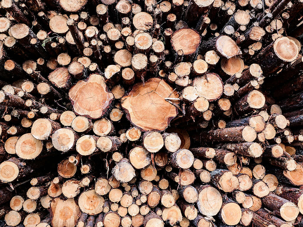 Metsätavaraa pinottuna puuteriminaalissa Rovaniemellä. Metsätavaraa pinottuna puuteriminaalissa Rovaniemellä.