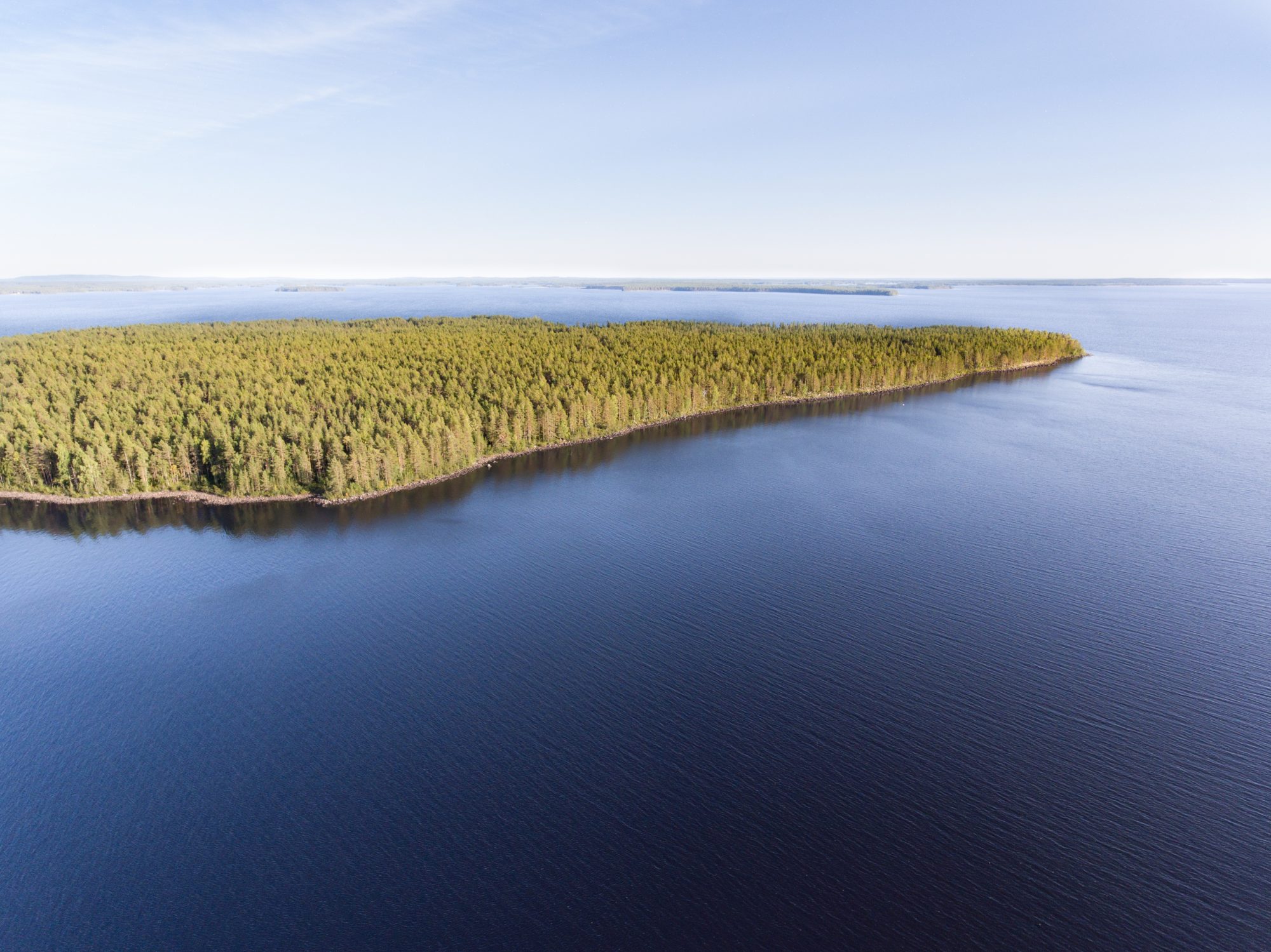 Suojeluvoitto Ouluj rvell Greenpeacen Aktivistit Poistivat Hakkuita suojeluvoitto-ouluj-rvell-greenpeacen-aktivistit-poistivat-hakkuita