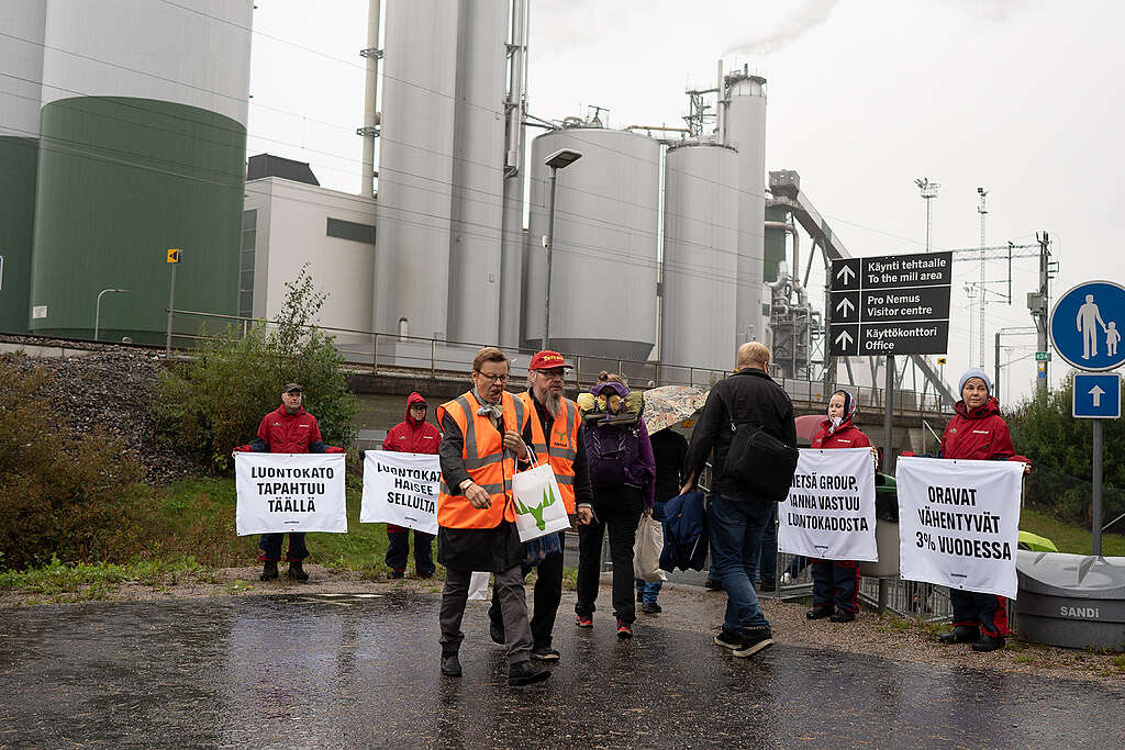 Greenpeacen aktivistit osoittavat mieltään Metsä Groupin tehtaalla Äänekoskella 16.9. Kuvaaja: Jukka Erätuli / Greenpeace