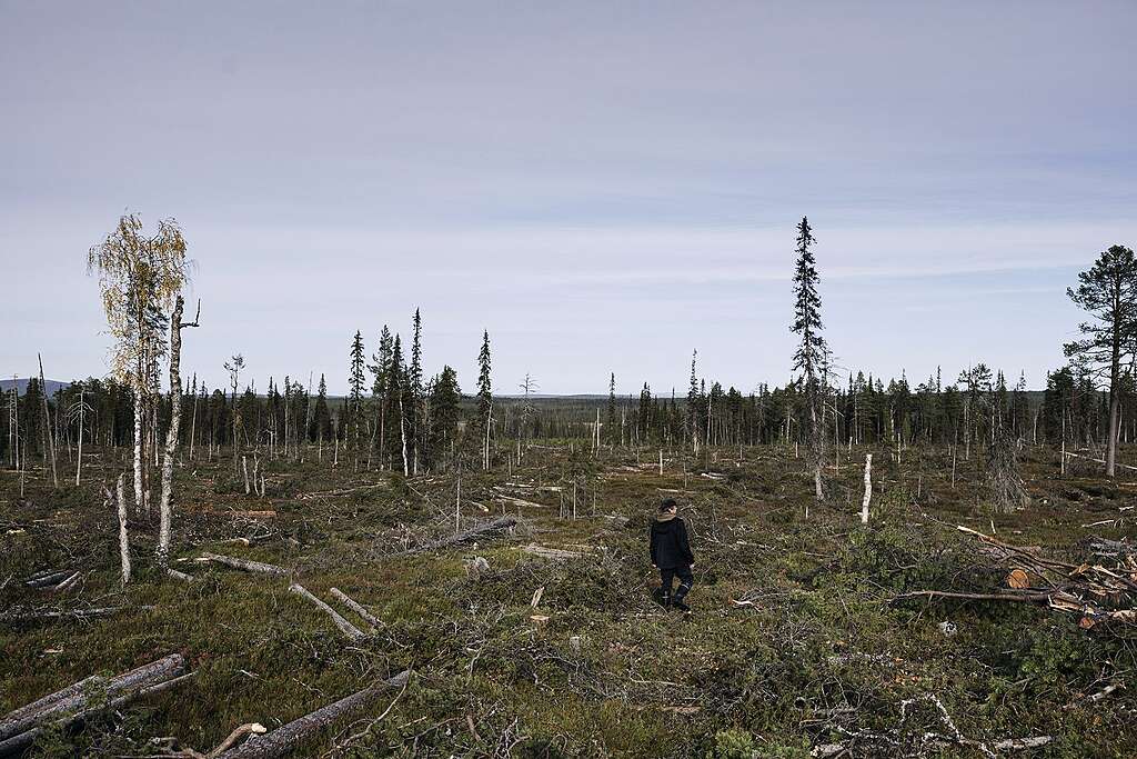 Avohakuualuetta Lapioseljänrovalla. Keskellä seisoo mustatakkinen henkilö.