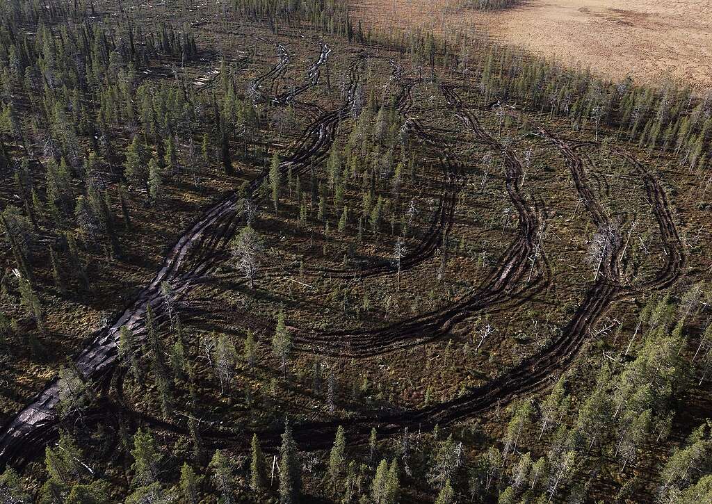 Ilmakuva hakkuualueesta Lapioseljänrovalla, jossa näkyy renkaanjälkiä.