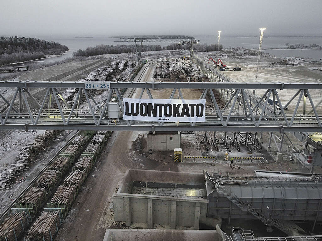 Nosturiin on kiinnitetty banneri, jossa lukee "Luontokato".