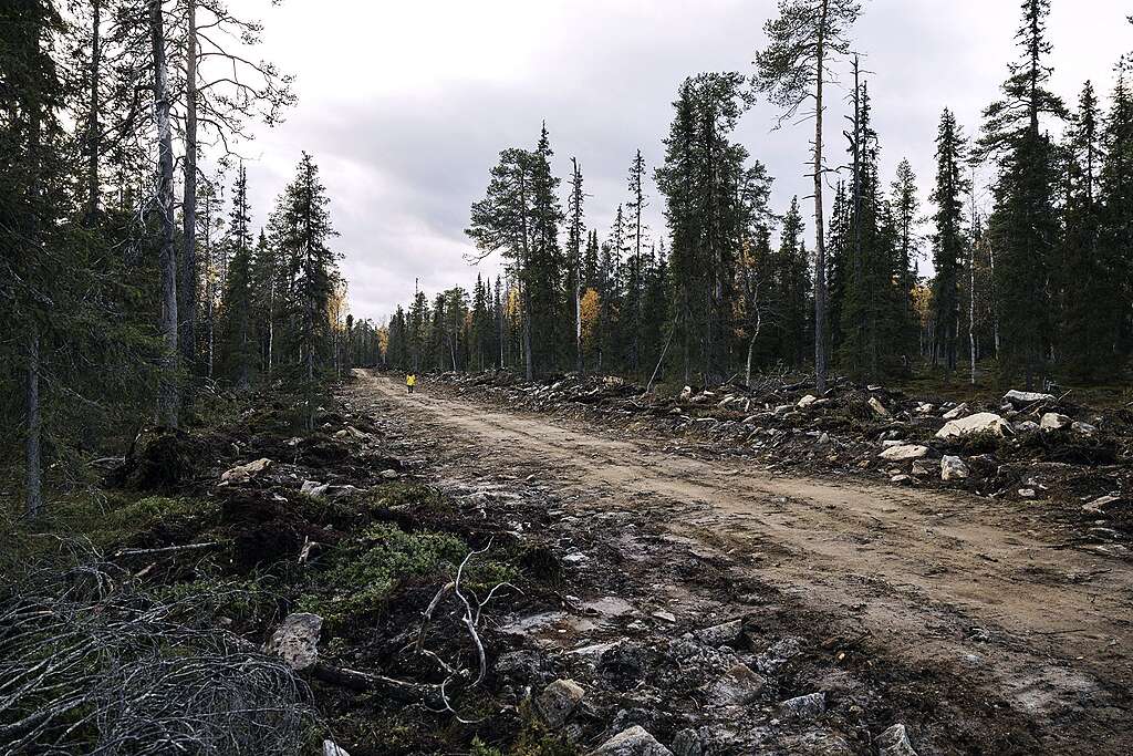 Tie kulkee poikki metsän Lapioseljänrovalla.