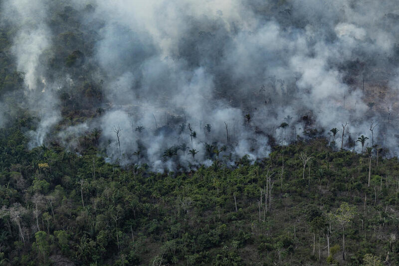 Ilmakuvaa Porto Velhon alueelta, missä Amazonin sademetsää poltetaan karjatalouden tieltä.
