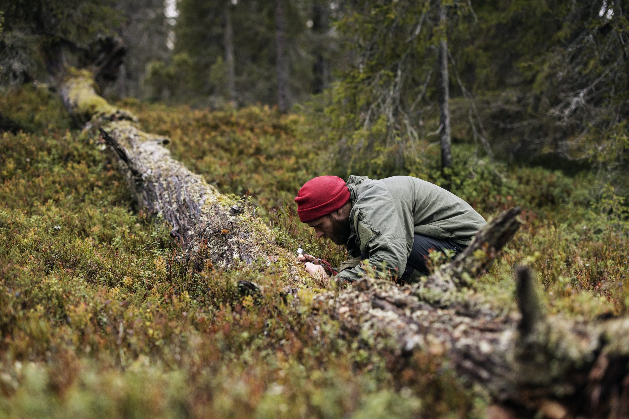 Luonnonmetsätyöryhmän kartoittaja Joni-Matti Kusmin on kyyristynyt kaatuneen puun äärelle.