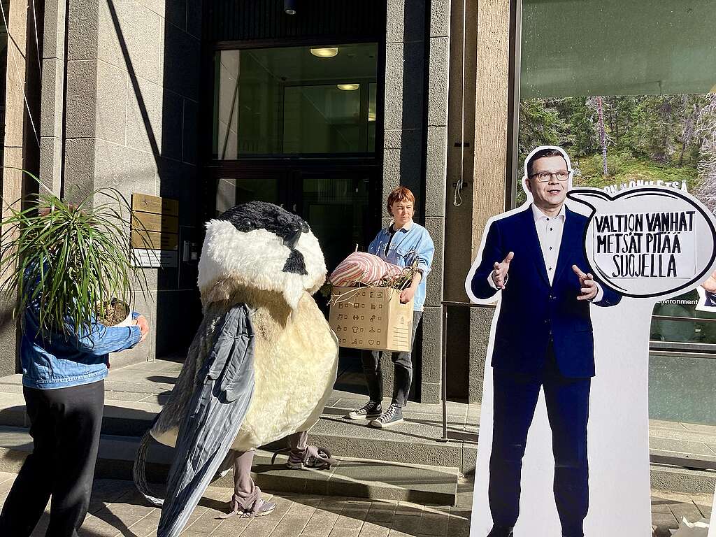 Pikkulinnuksi pukeutunut henkilö seisoo Petteri Orpon kuvan vieressä, jonka puhekuplassa lukee "Valtion vanhat metsät pitää suojella".