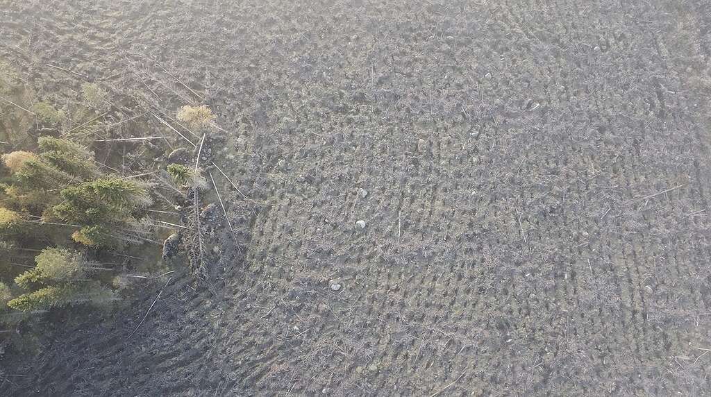Utuinen ilmakuva avohakkuualueesta, jonka reunassa näkyy metsää. Hakkuualue on täysin paljon ja kivinen, kaikki puut on kaadettu. Utuinen ilmakuva avohakkuualueesta, jonka reunassa näkyy metsää. Hakkuualue on täysin paljon ja kivinen, kaikki puut on kaadettu.